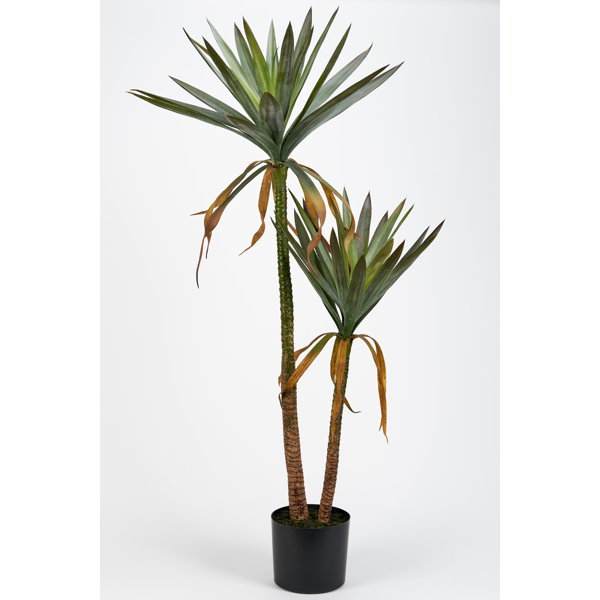 Primrue 42" Artificial Yucca Tree in Pot Wayfair